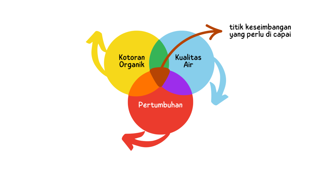 Probiotic Aquaculture - 3 Keseimbangan Optimal Budidaya