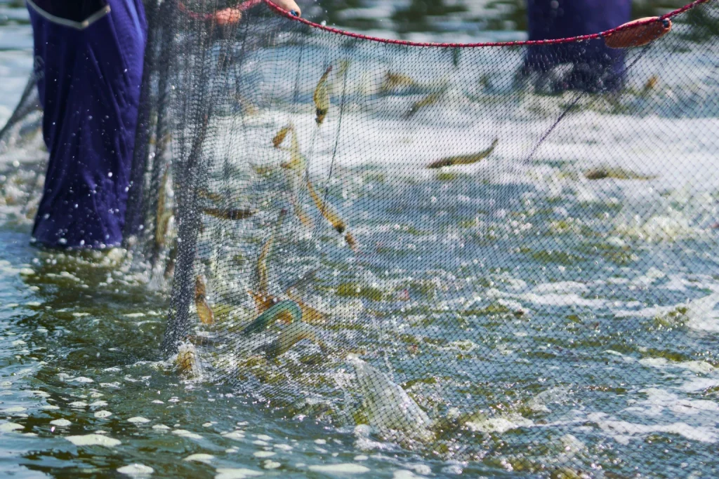 probiotic aquaculture - Pertumbuhan