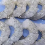 Vaname merupakan udang yang memiliki ketahanan lingkungan paling baik. Ketahanan ini didukung oleh morfologi khusus pada tubuh udang vaname.