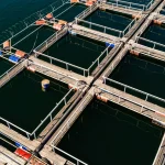 Kamus Mini Budidaya Udang Vaname