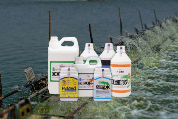 Begini Cara Probiotik Menjaga Ekosistem Udang Tetap Stabil