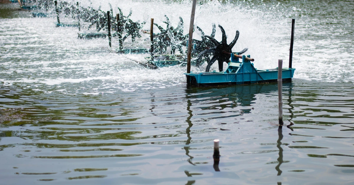 Ternyata Ini Fungsi Kincir Air di Tambak Udang