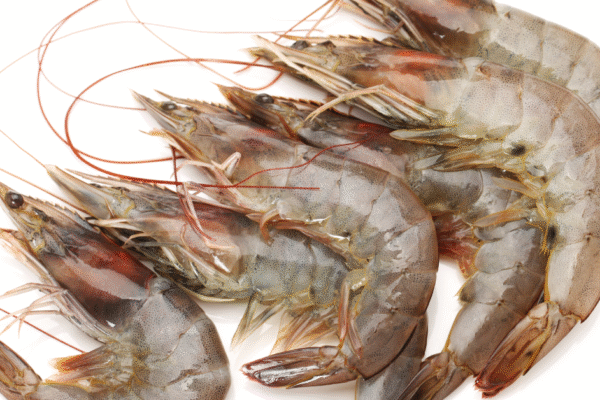 Cara Meningkatkan Pertumbuhan Udang Vaname