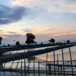 Ciri-ciri Udang Vaname Terserang WSSV