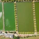 Pentingnya Manajemen Pakan dalam Budidaya Udang